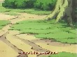 Naruto 060(33).jpg